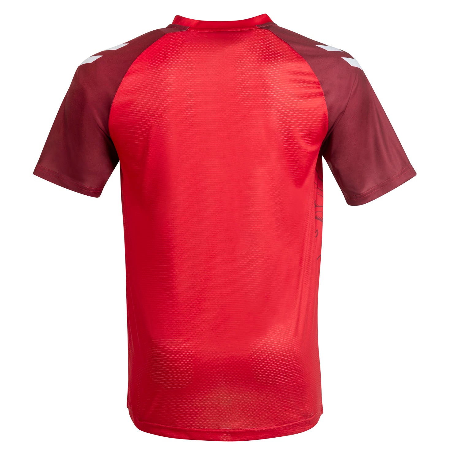 MAILLOT VAFC ÉCHAUFFEMENT JUNIOR 2025-2026