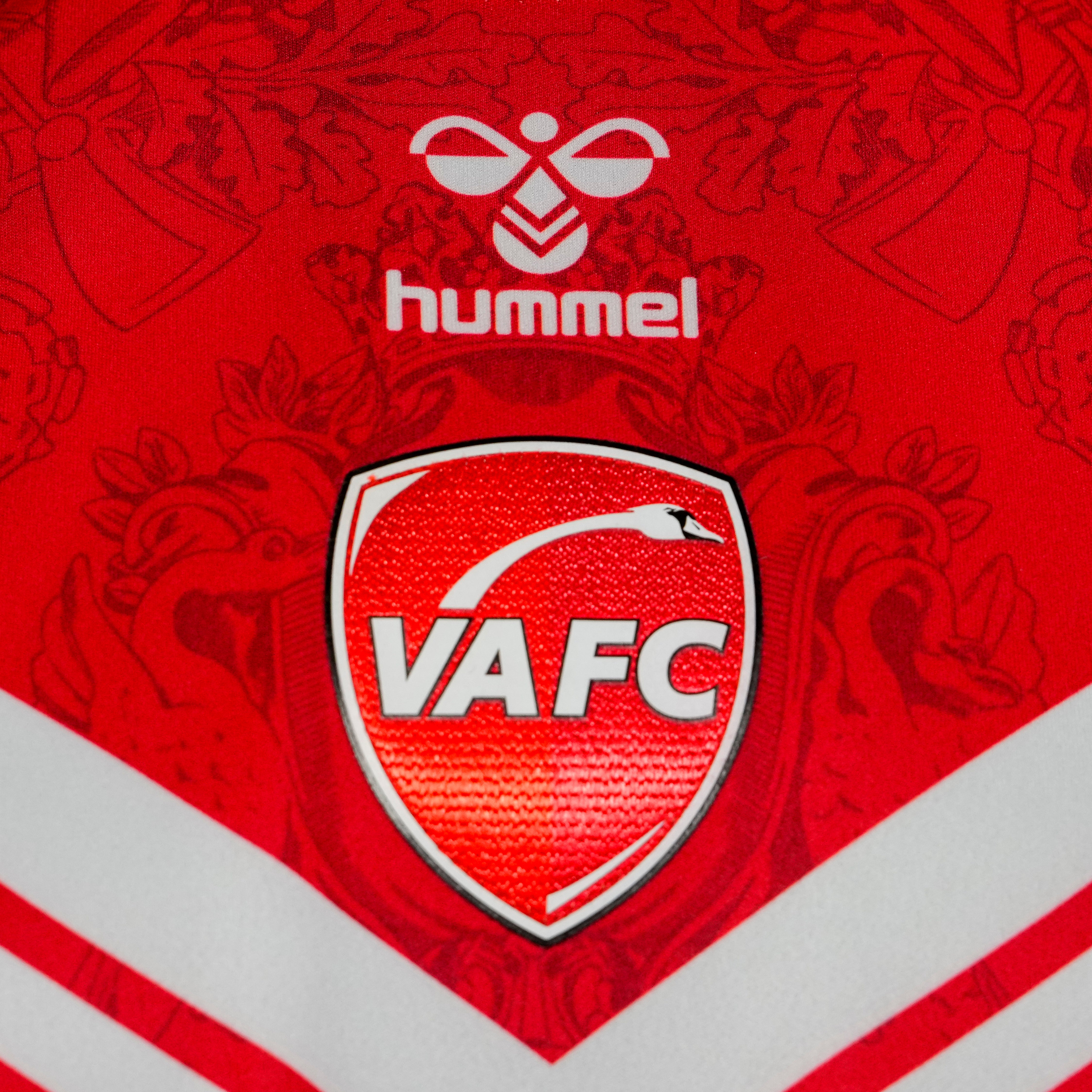 MAILLOT VAFC DOMICILE JUNIOR 2024-2025