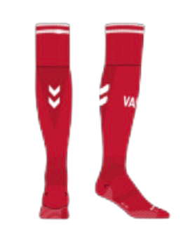 Chaussettes domicile saison 2024/2025